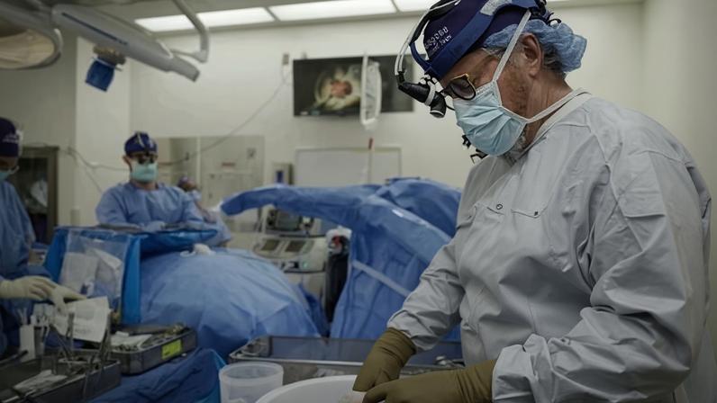 Transplantes de órgãos de porcos podem superar os humanos, diz especialista