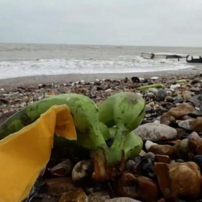 Público alertado a manter distância após contêineres de bananas em West Sussex