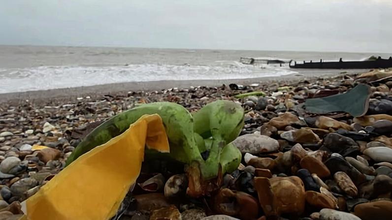 Sixteen containers went overboard from the cargo ship Baltic Klipper in the Solent on 6 December, of which eight were reported as carrying bananas.