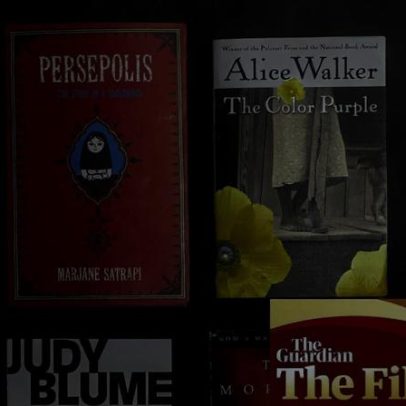 Guia de presentes subversivo lista 10 livros banidos nos EUA