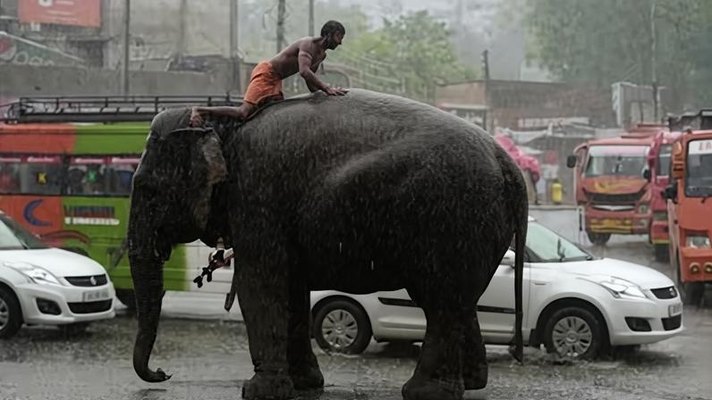 Un hombre permanece sentado sobre un elefante en Jammu, en la Cachemira india, en enero de 2023.