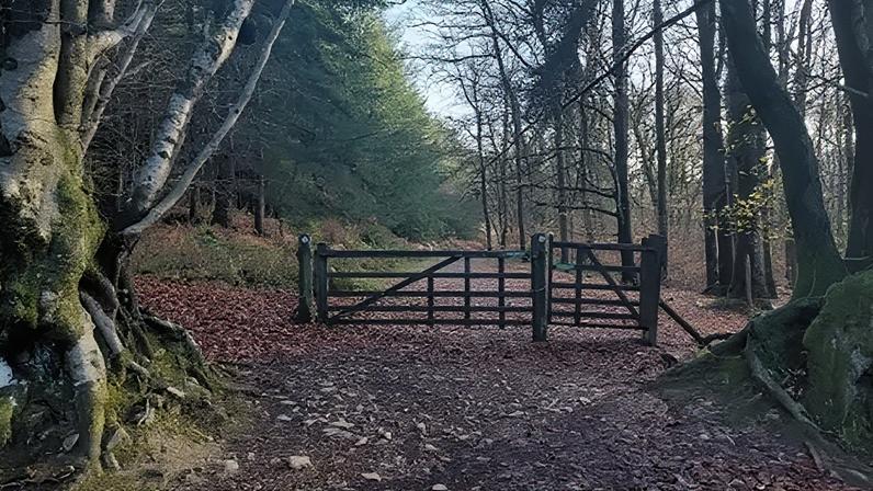A plan to protect the Quantock Hills in Somerset has been published