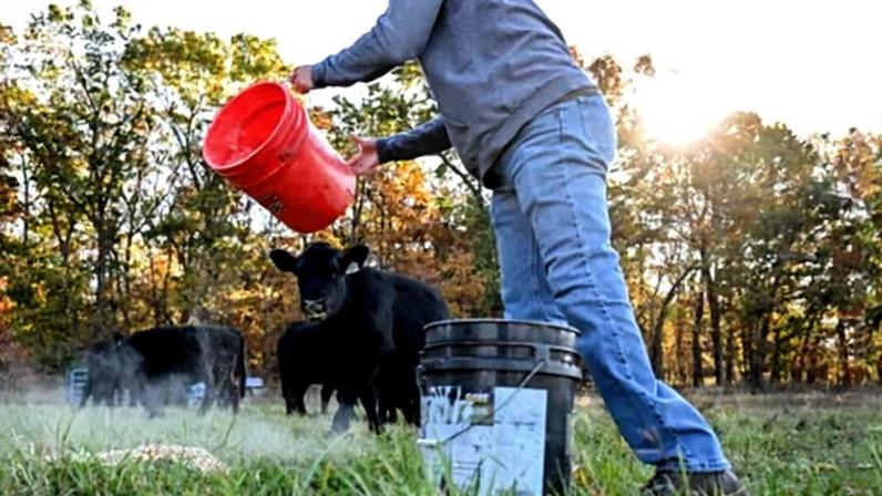 Fazendeiros dos EUA dizem que pacote de US$12 bi não reverte danos de tarifas