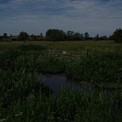 Plano de recuperação da natureza na Inglaterra com cláusula de aviso de 1 ano