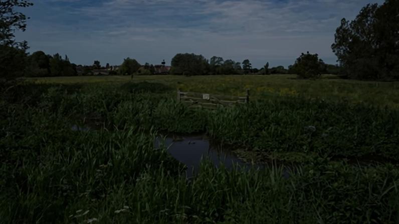 Nature-friendly farming schemes in England have been beset by difficulties. Photograph: Lisa Geoghegan/Alamy