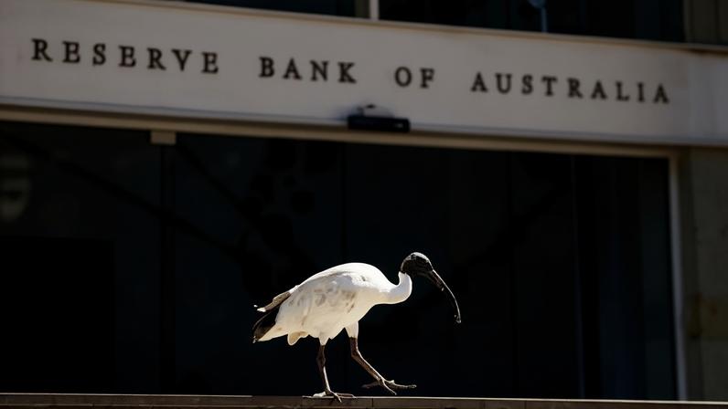 Markets are pricing in a 100% chance that the Reserve Bank of Australia will lift the cash rate next year due to inflation. Photograph: Daniel Munoz/Reuters