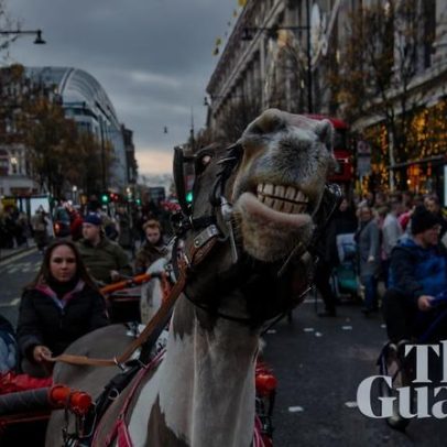 Campanha de Natal da comunidade de viajantes em Londres — fotos