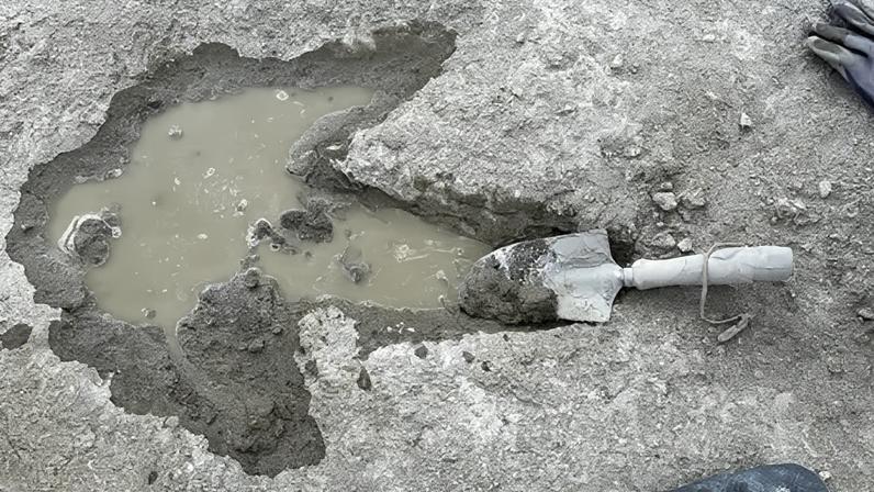 De via expressa de dinossauros às origens do fogo: descobertas de 2025