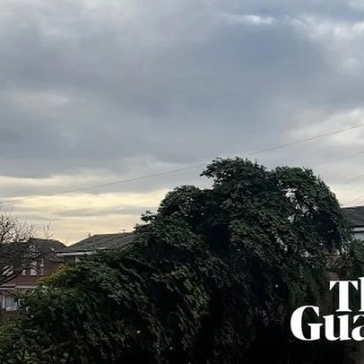 Dois homens presos após árvore de Natal em vila de Durham ser derrubada