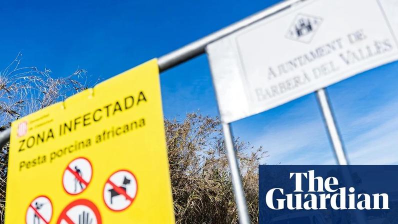 Officials speak to a driver on a road closed due to an outbreak of African swine fever near Barcelona.