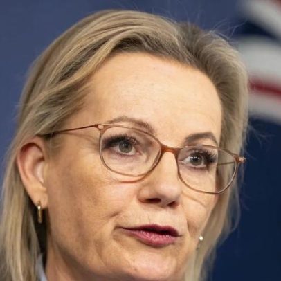 Coalizão avalia linha dura de imigração e evita opiniões de Pauline Hanson