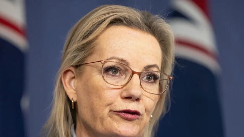 Opposition leader Sussan Ley is expected reveal the ‘principles’ of the Coalition’s approach to immigration next week.