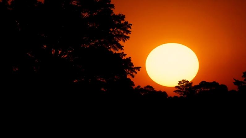 The Bureau of Meteorology has released its Christmas weather forecast for Australia. There has been an extreme and severe heatwave for much of southern Australia that began on Thursday and is expected to stretch into Sunday.