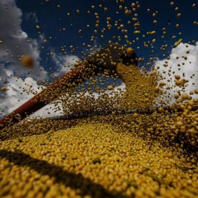 China deve registrar importação recorde de soja em 2025