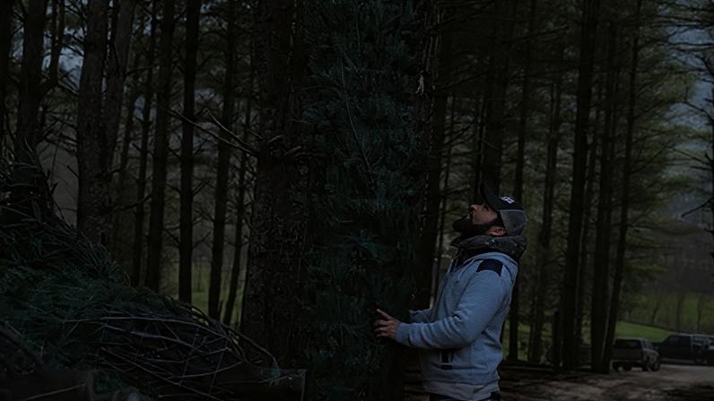 Mexican immigrants like Roberto Ceballos are part of an important workforce for the American Christmas tree industry