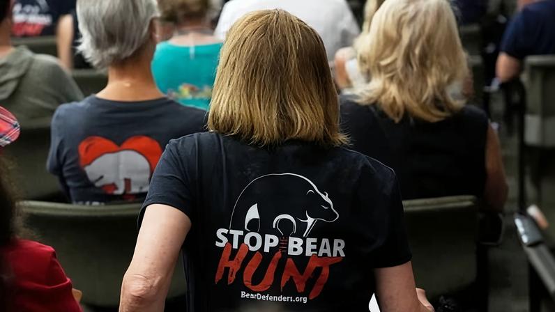 Grupos de vida selvagem da Flórida criticam caça de ursos sancionada pelo estado