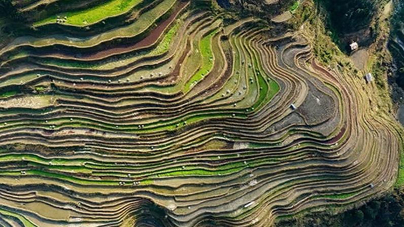 Workers who travelled from rural China to its big cities have returned home disenchanted with their economic prospects, setting the stage for clashes over land use. Photograph: Costfoto/NurPhoto/Shutterstock