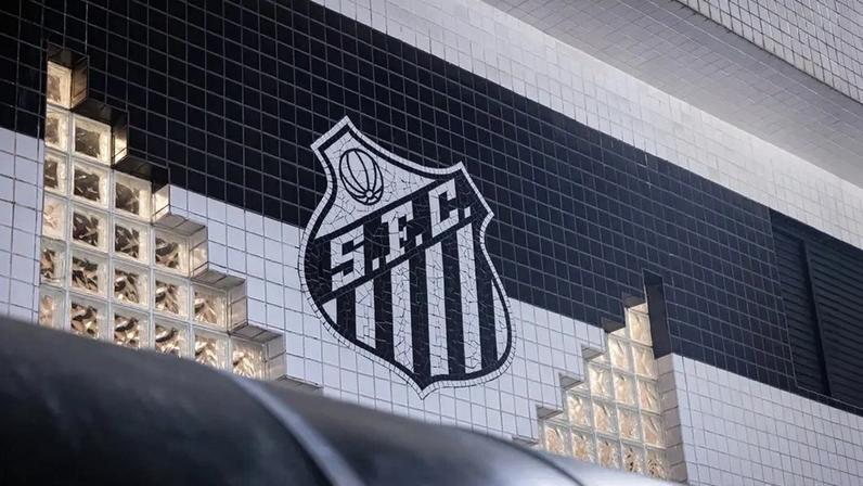 Santos passa por mudanças no elenco (Foto: Raul Baretta/ Santos FC)