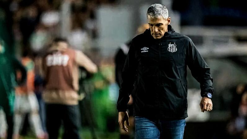 Vojvoda terá desfalque no Santos (Foto: Léo Piva/ Santos FC)