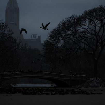 Tempo de inverno atrasa tráfego aéreo em Nova Jérsei e Nova Iorque