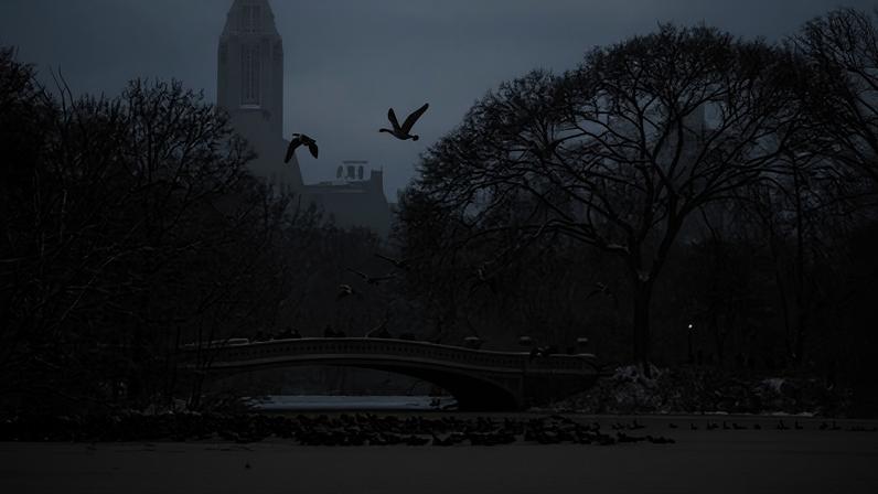 Tempo de inverno atrasa tráfego aéreo em Nova Jérsei e Nova Iorque