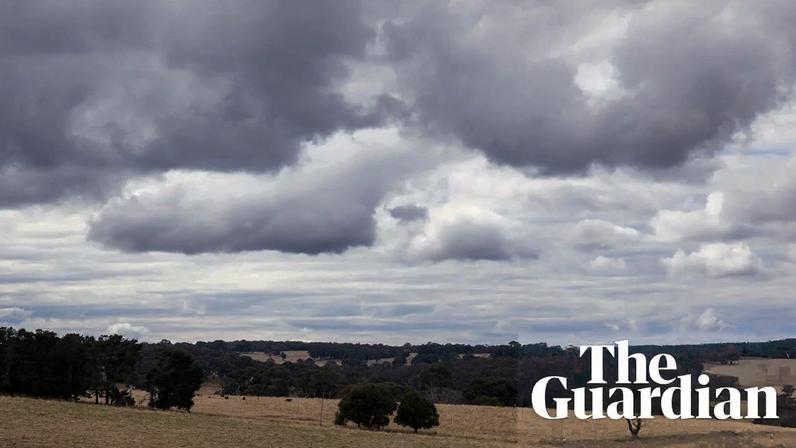 A proposed goldmine site near Blayney. Regis Resources is seeking to overturn a heritage protection order made last year, arguing that a blue-banded bee Dreaming story that influenced the decision was not raised until two years after the initial application.