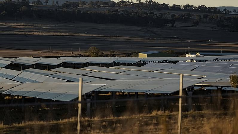 The energy market operator says renewable energy, including solar and wind, remains the primary and least-costly path to meeting Australian energy needs. Photograph: Aston Brown/The Guardian