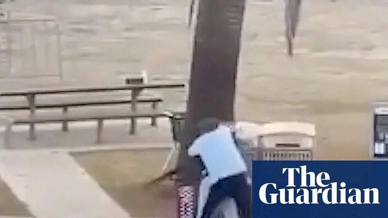 Alleged gunman tackled during Bondi beach shooting – video