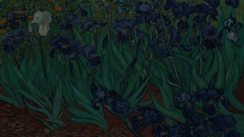 Van Gogh’s Three Sunflowers (August 1888) and Irises (May 1889) Private collection and J. Paul Getty Museum, Los Angeles