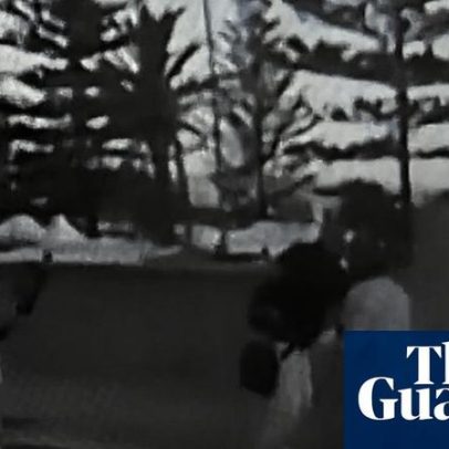Casal em dashcam que tentou enfrentar atirador de Bondi, Boris e Sofia Gurman
