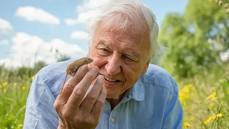 Attenborough: Londres é o único lugar onde viveria