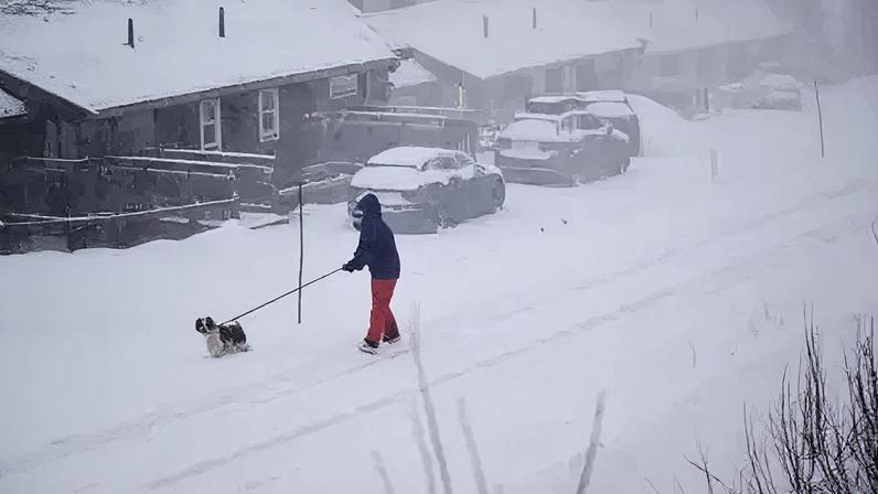 Dois mortos na Suécia em tempestade que atinge países nórdicos