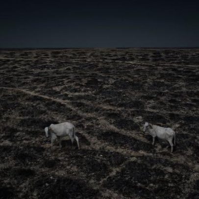 Satélites mostram desmatamento persistente na reserva mais desmatada da Amazônia