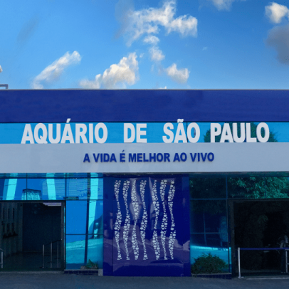 Parques de SP alertam para aumento de golpes virtuais com ingressos falsos durante as férias