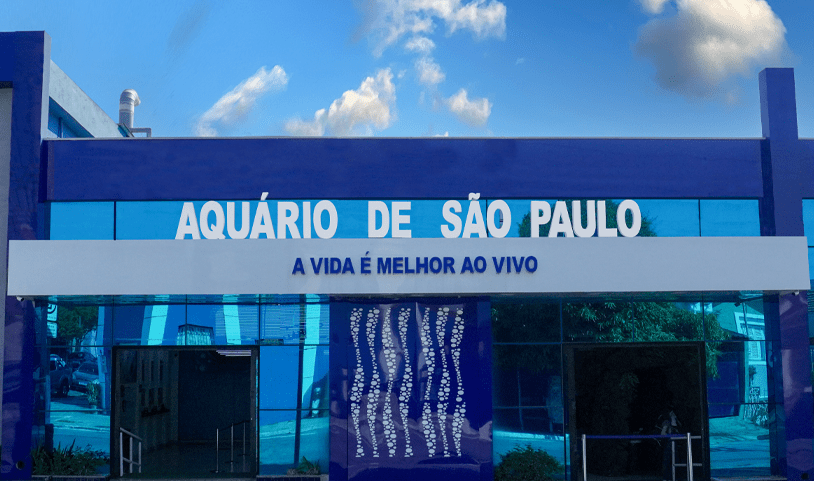 Parques de SP alertam para aumento de golpes virtuais com ingressos falsos durante as férias