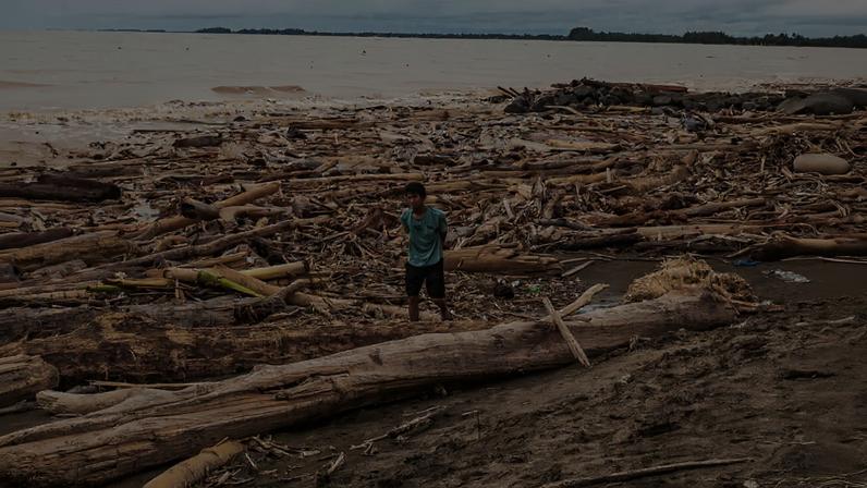 Cheia de troncos após ciclone Senyar deixa pescadores de Padang sem trabalho