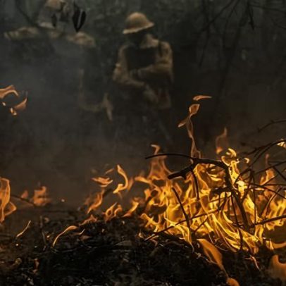 Governo cria painel inédito para rastrear gastos ambientais