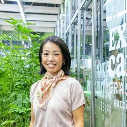 Do estigma ao bilhão: como o agro pode regular a cannabis no Brasil
