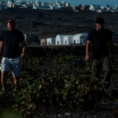 Vinhedos históricos de Santorini enfrentam mudanças climáticas e turismo