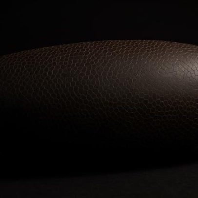 Modelo de deep learning prevê formação de moscas-das-frutas célula a célula
