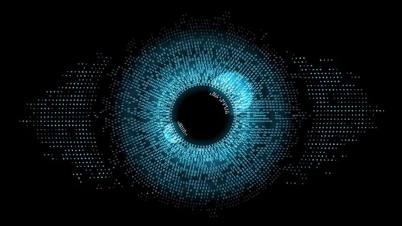 Researchers developed a computational framework that enables them to explore and probe the evolution of vision systems over millions of years using embodied AI agents.