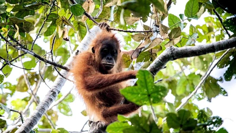 Ásia Sudeste 2025: enchentes fatais, fósseis em expansão e mineração em alta