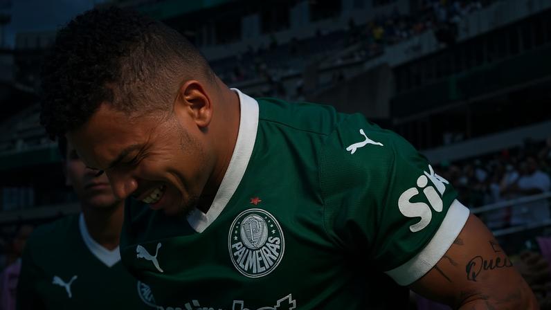 Paulinho comemora gol do Palmeiras contra o Botafogo (Foto: Divulgação/ Palmeiras/ X)