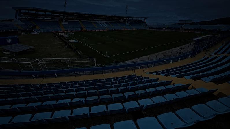 AVaí terminou a Série B na nona colocação. Foto: Leandro Boeira/Avaí FC