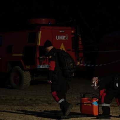 Generalitat afirma javalis de Collserola testaram negativo para peste suína