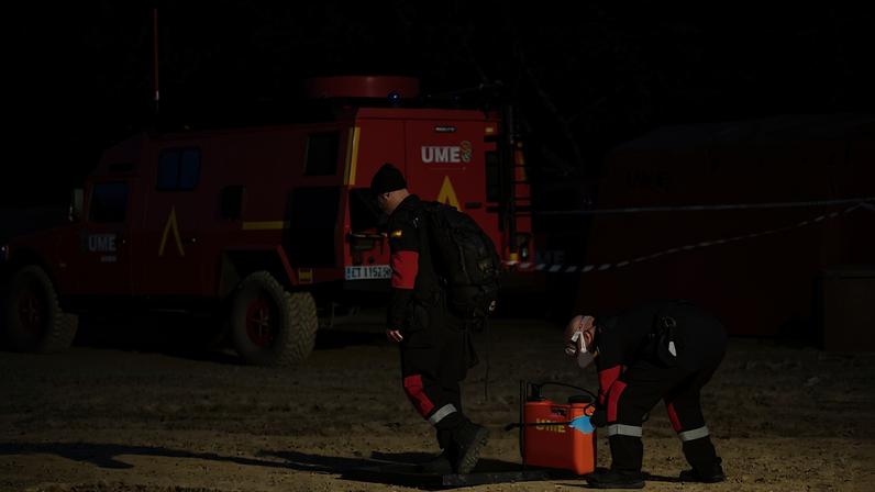 Generalitat afirma javalis de Collserola testaram negativo para peste suína