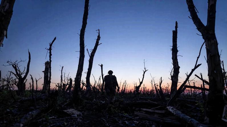 A Ukrainian soldier walks through a charred forest at the front line in Donetsk near Andriivka, Ukraine, on Sept. 16, 2023.