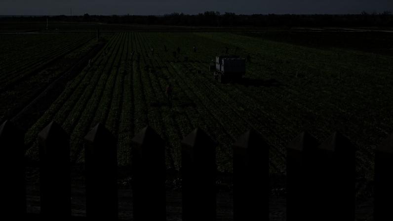 Trump aprova resgate de US$12 bilhões para agricultores atingidos por tarifas