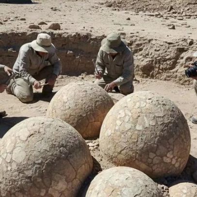 Ovos de titanossauros de 72 milhões de anos são encontrados