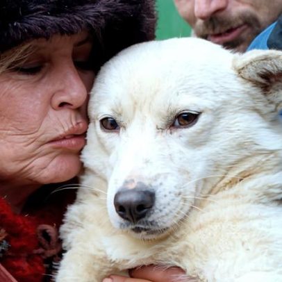 Brigitte Bardot morre hoje; símbolo feminino nos anos 50 e defensora dos animais